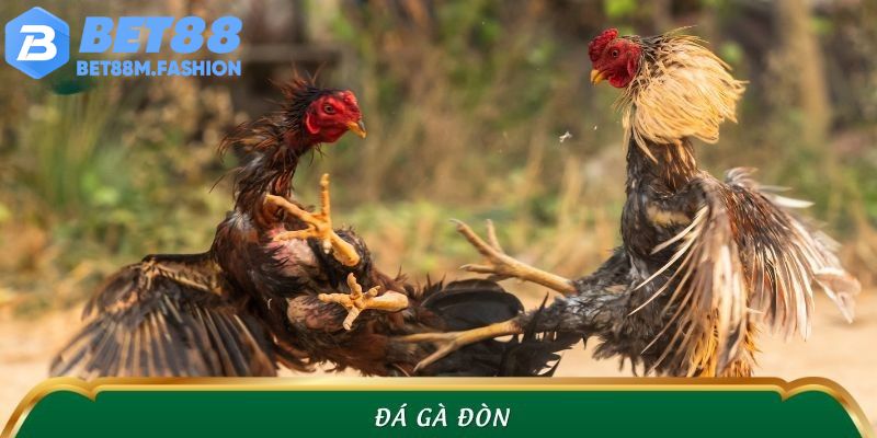 Đá Gà Đòn Bet88 – Cuộc Chiến Thể Lực Đậm Chất Chiến Kê