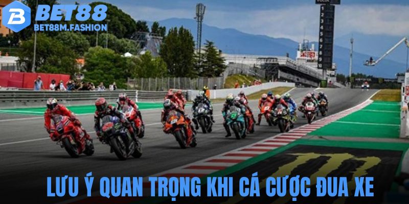 Những lưu ý quan trọng anh em cần nhớ khi tham gia cá cược đua xe